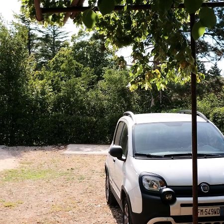 Manjsa Hisa Savudrija Alberi Zraven Petram Naselja Hotel Crveni Vrh Exterior photo
